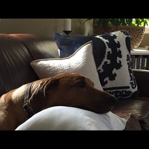 Meet your Posher, Heather